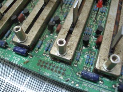 DSC07938 [800x600].jpg