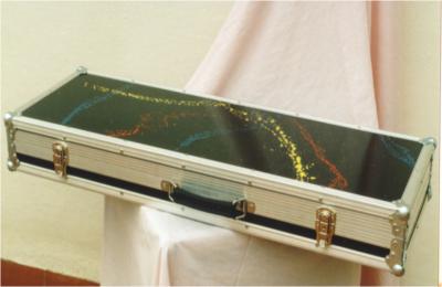 Estuche guitarra FenderStrat.jpg