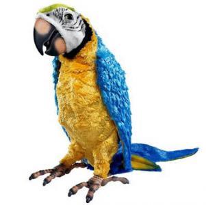 mascotas_loro_molon_1.jpg