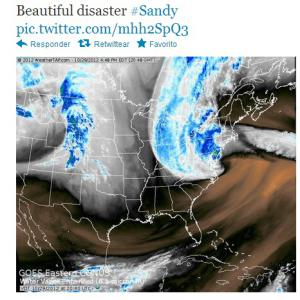 sandy18.jpg