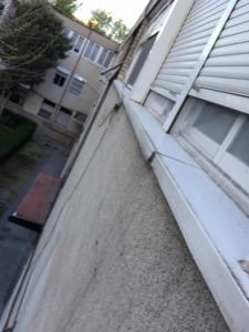 WhatsApp Image 2019-03-15 at 14.14.18.jpeg