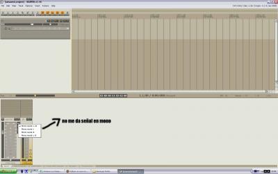 repaer master mono.jpg