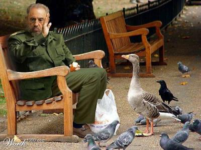 fidel 2.jpg