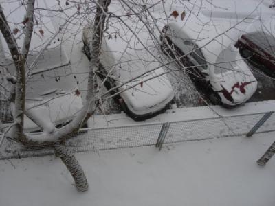 Primera Nevada 2009 Madrid.JPG