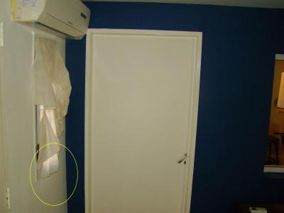 DSC06009 (Copiar).JPG