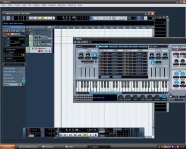 Monitor de Pista.JPG