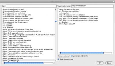 MACRO (INSERTAR SILENCIO).jpg