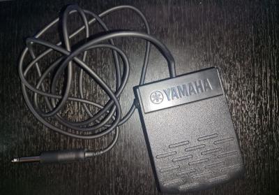 WhatsApp Image 2024-06-16 at 4.49.57 PM.jpeg