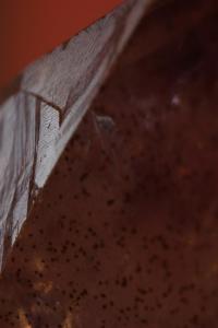 IMG_2979 (Large).JPG