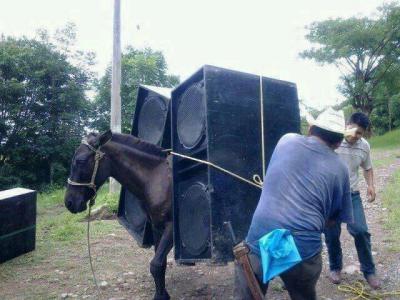 hamper or tuning.jpg