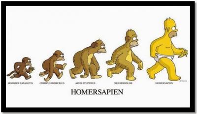 Homer evolución.jpg