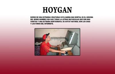 HOYGAN.jpg