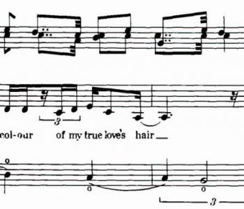 Hollenius 11-9-06.jpg