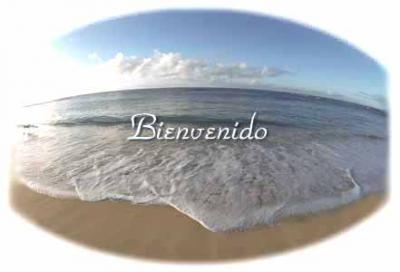 bienvenido.jpg