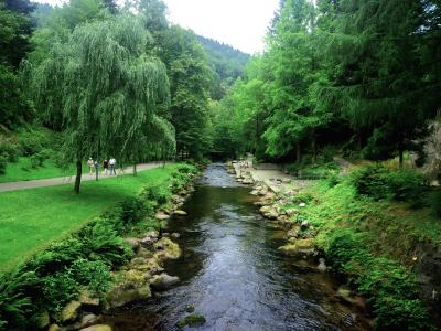 BAD WILDBAD RIVER - 09-07-2011.jpg