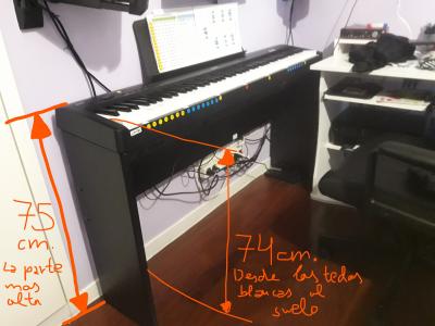 piano con medidas.jpg