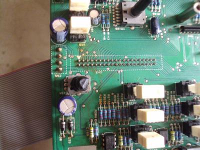 DSC07718 [800x600].jpg