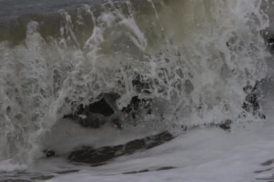 IMG_1030 (Large).JPG