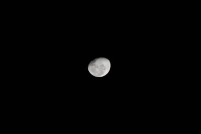 10-8-09 luna 008 (Large).jpg
