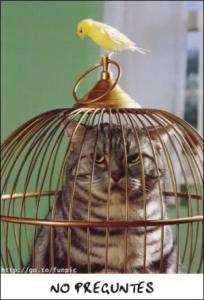 nopreguntes.jpg