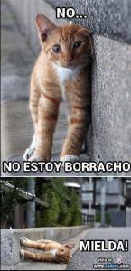 Captura de pantalla 2013-04-12 a la(s) 03.52.35.jpg