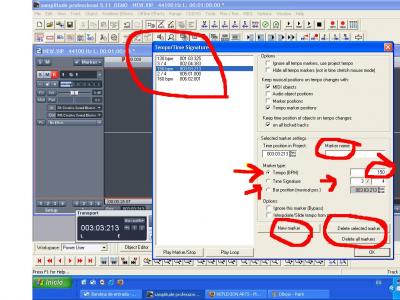 pista de tempo 2.JPG