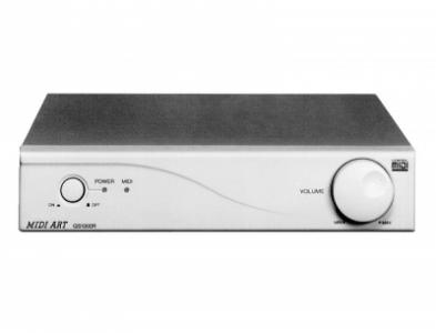 GoldStar GS1000R.gif