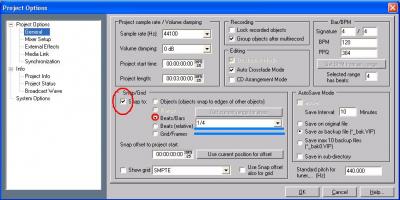 Project Options Quantize.JPG