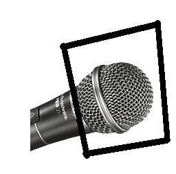microfono2.JPG