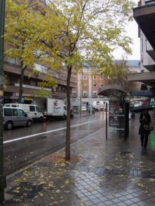 1-LLoviendo-en-Moncloa-Web.jpg