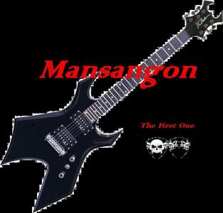 B.C rich The first One.JPG