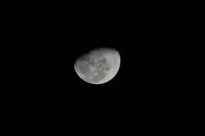 11-8-09 Luna 005 (Large).jpg