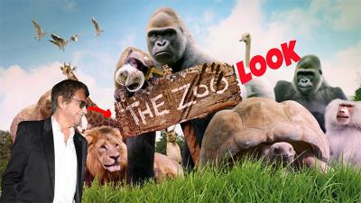 zoo.jpg