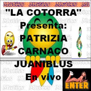 Guacamaya+Cotorra 2.GIF