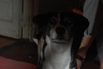 29-12-08 Clara y nosotros 019 (Small).jpg