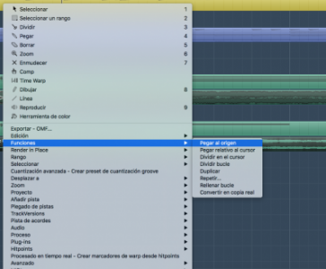 Funciones>Pegar al origen.png