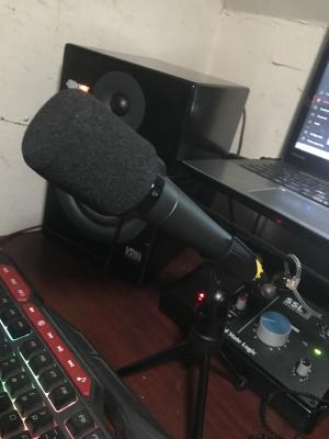 mic.jpg