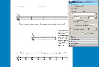 Formato especial 2.png