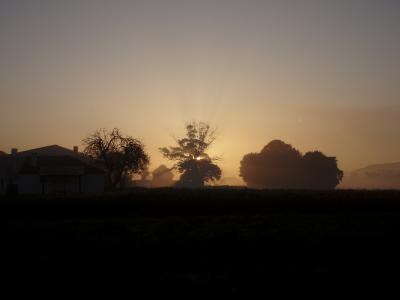 Amanecer brumoso y mágico.jpg