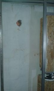 WhatsApp Image 2017-03-17 at 4.46.28 PM.jpeg