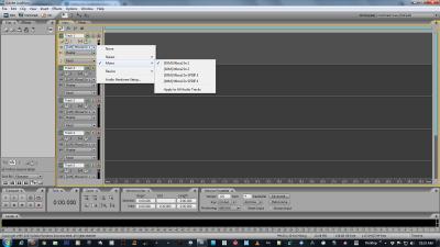 audition_select input.jpg