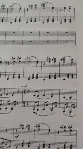 WhatsApp Image 2023-05-06 at 19.50.39.jpeg