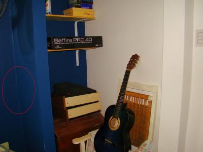 DSC06007 (Copiar).JPG