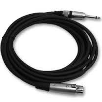 jack-cannon hembra.jpg