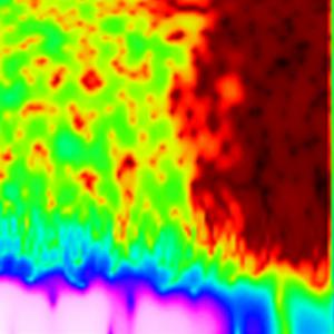 violin b focus zoom 1.jpg