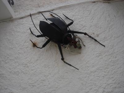 DSC05530 [Desktop Resolution].JPG