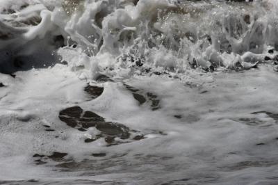 IMG_0965 (Large).JPG