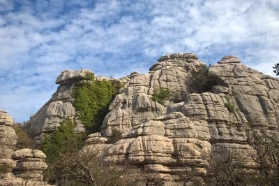 WP_20151202_14_14_21_Pro (2).jpg