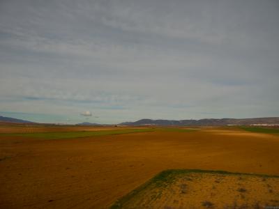 La-mancha-desde-el-AVE-Web.jpg