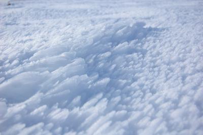 Escamas de Hielo.jpg